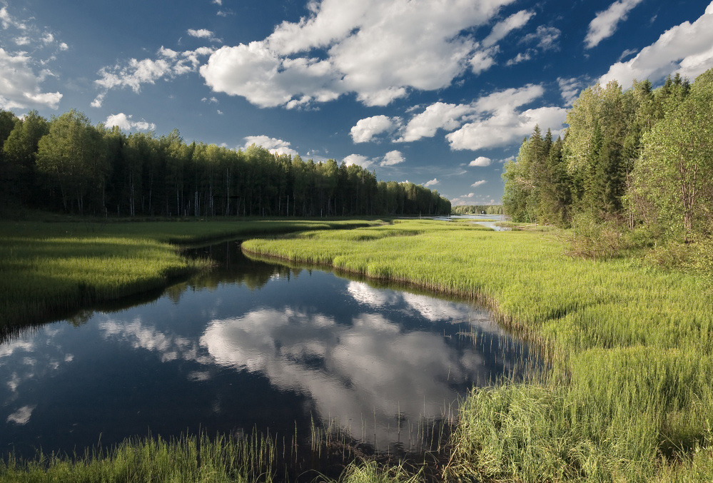 фото "Тишина речки" метки: пейзаж, лето