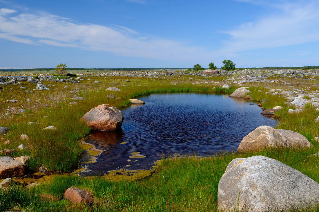 photo "***" tags: landscape, summer