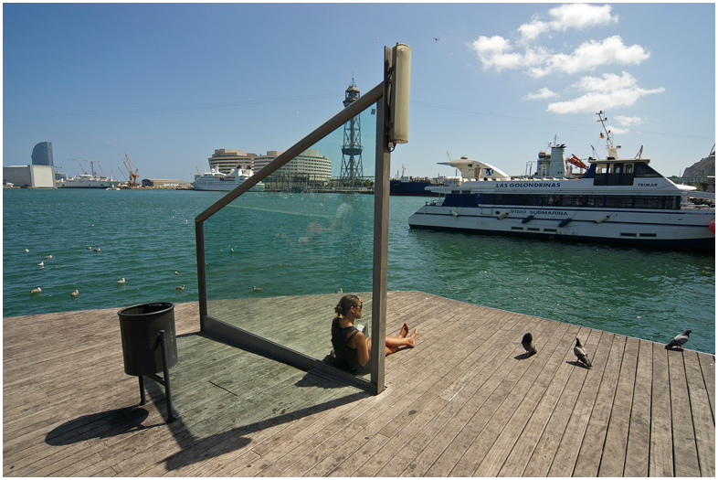 photo "seagulls and pigeons" tags: landscape, summer, water