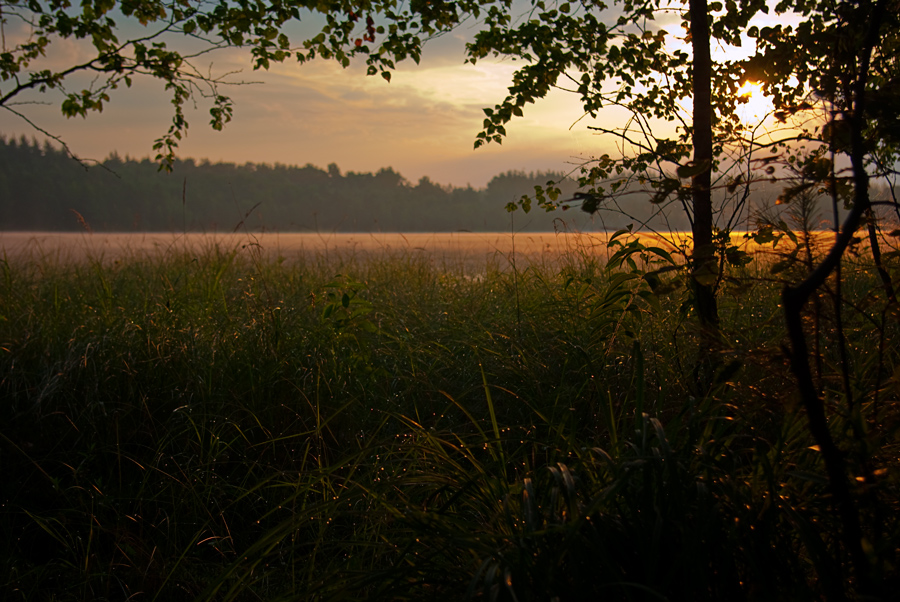 photo "The sacrament of morning" tags: landscape, summer, sunset