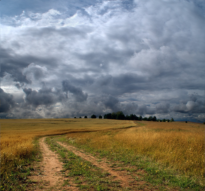 photo "***" tags: landscape, summer