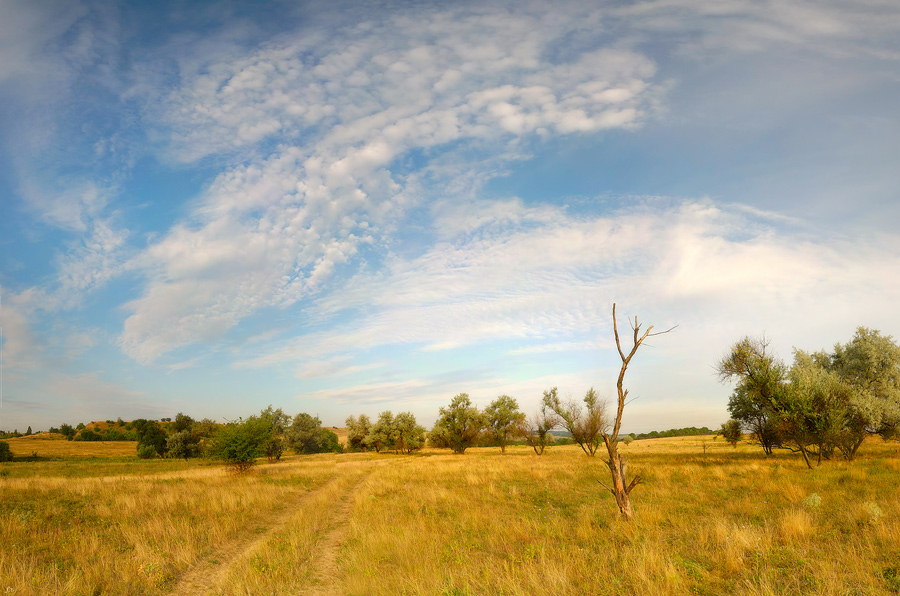 photo "***" tags: landscape, summer