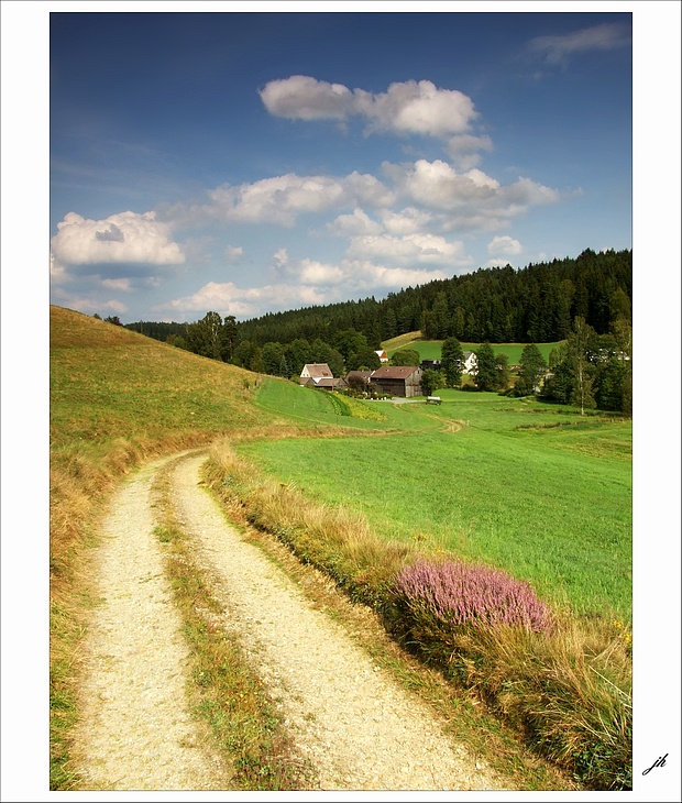 photo "the rhythm of summer" tags: landscape, summer