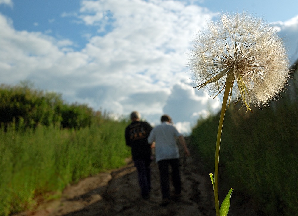 photo "Two" tags: landscape, summer