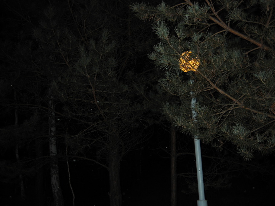 фото "Ночь" метки: пейзаж, ночь