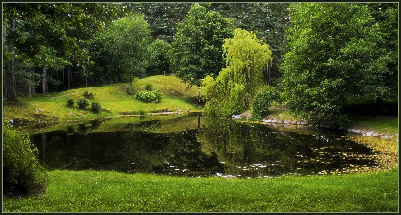 photo "The silence of the green world" tags: landscape, summer