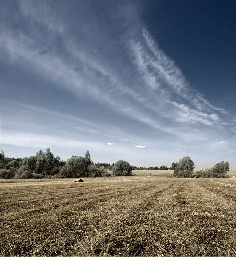 photo "***" tags: landscape, summer