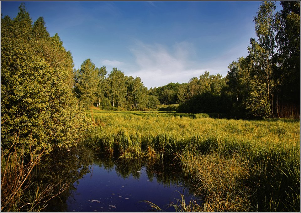 photo "Calm place" tags: landscape, summer