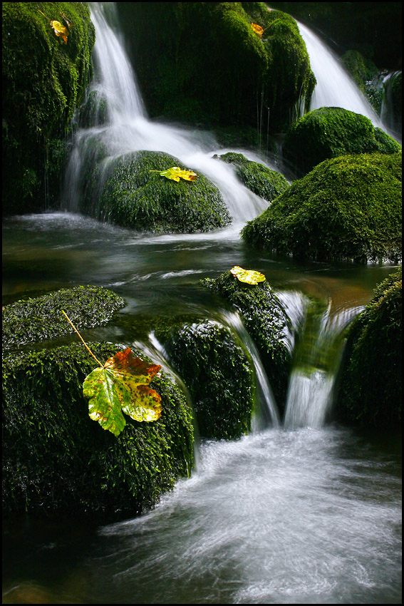 photo "Fall Impresions II" tags: nature, landscape, summer