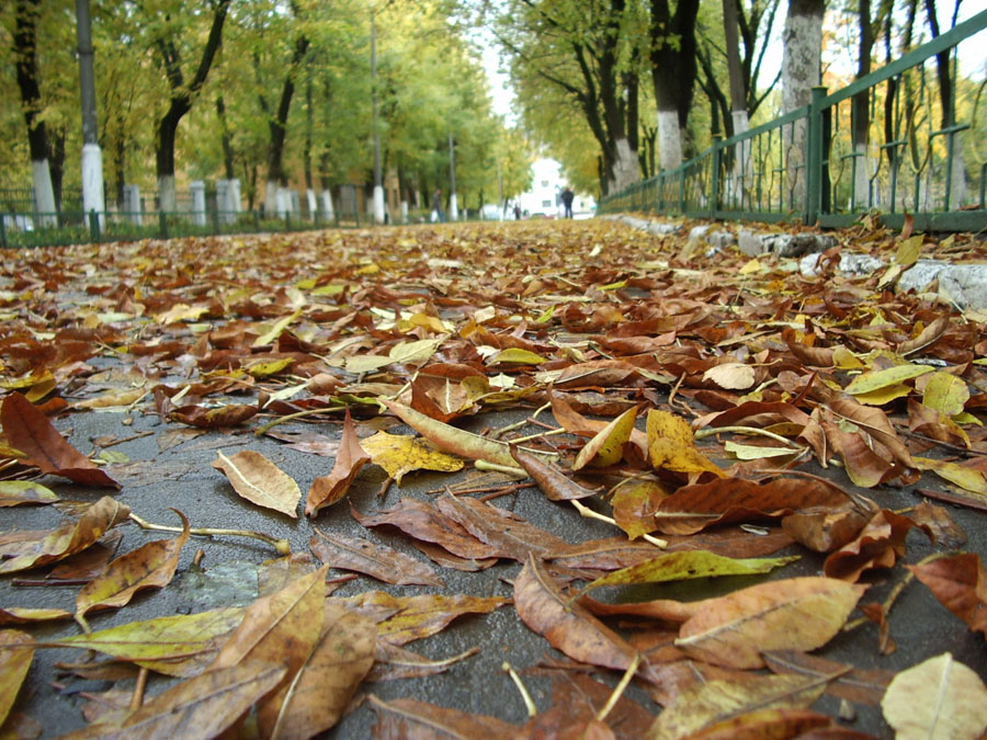 photo "***" tags: landscape, autumn