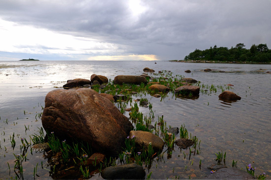 photo "***" tags: landscape, summer, water