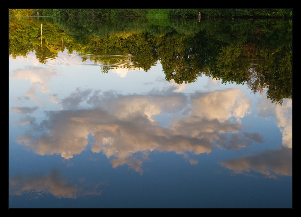 фото "Лесное озеро" метки: пейзаж, вода