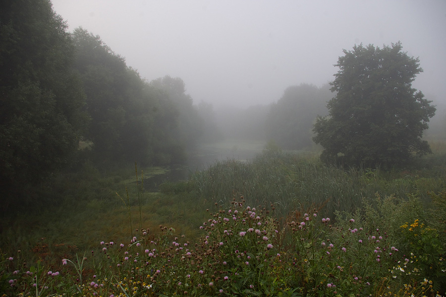 photo "***" tags: landscape, summer, water