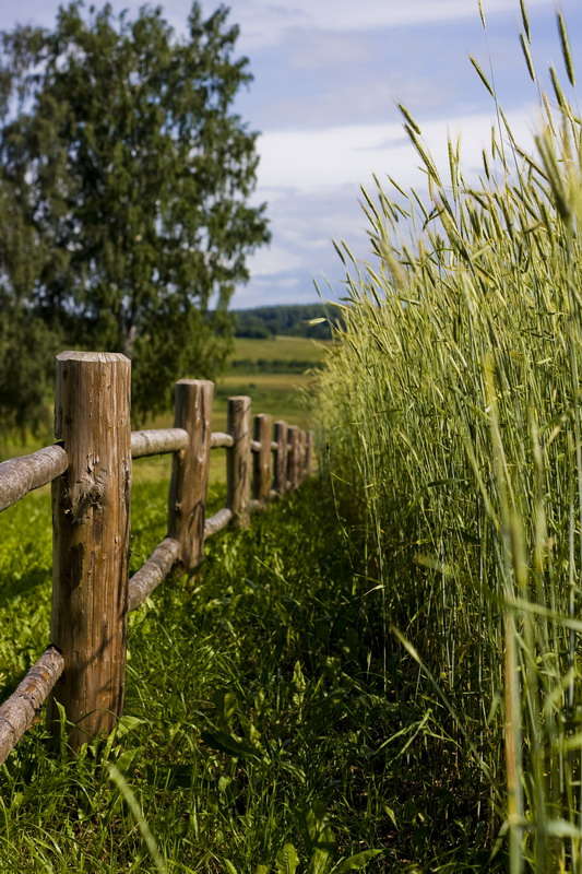 фото "***" метки: пейзаж, природа, 