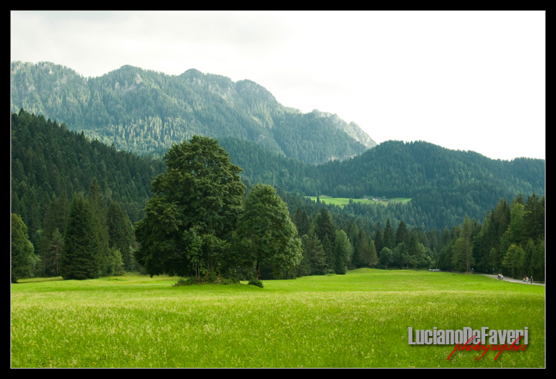 photo "Dolomiti" tags: landscape, mountains