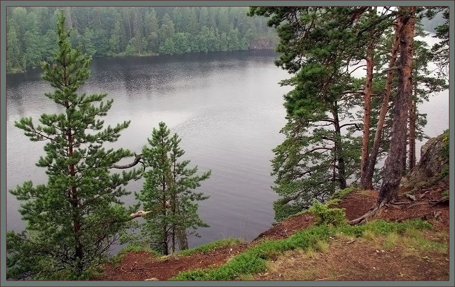 photo "***" tags: landscape, forest, water