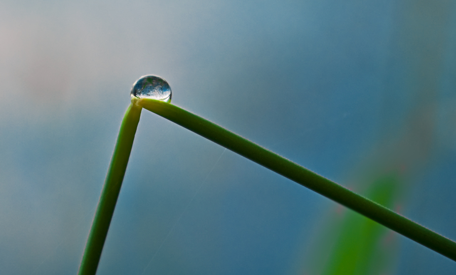 photo "The break" tags: macro and close-up, abstract, 