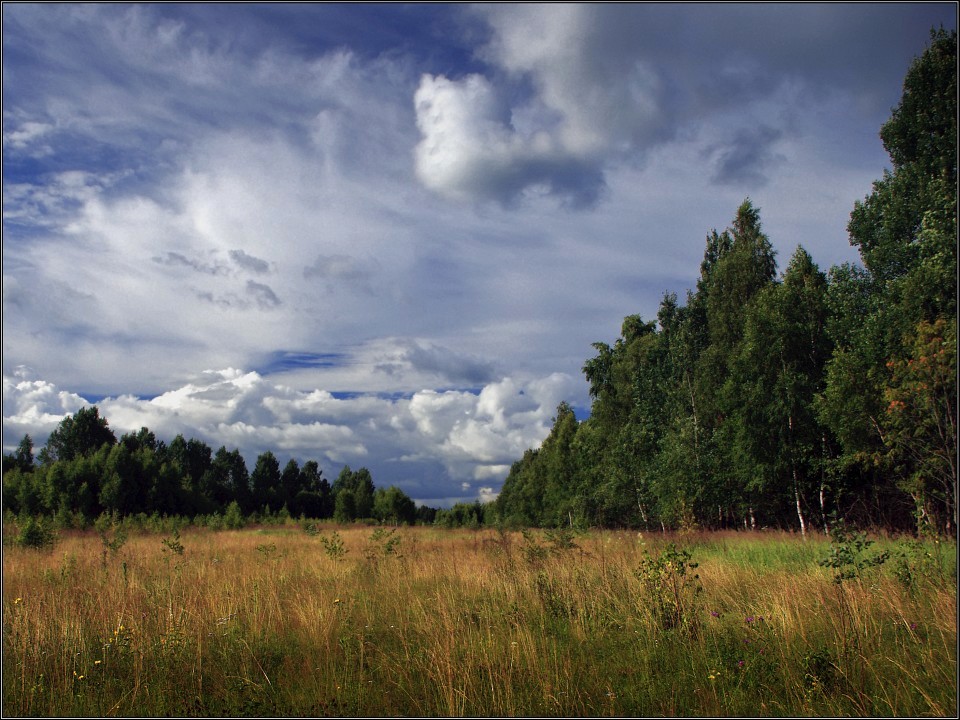 photo "August evening" tags: landscape, summer