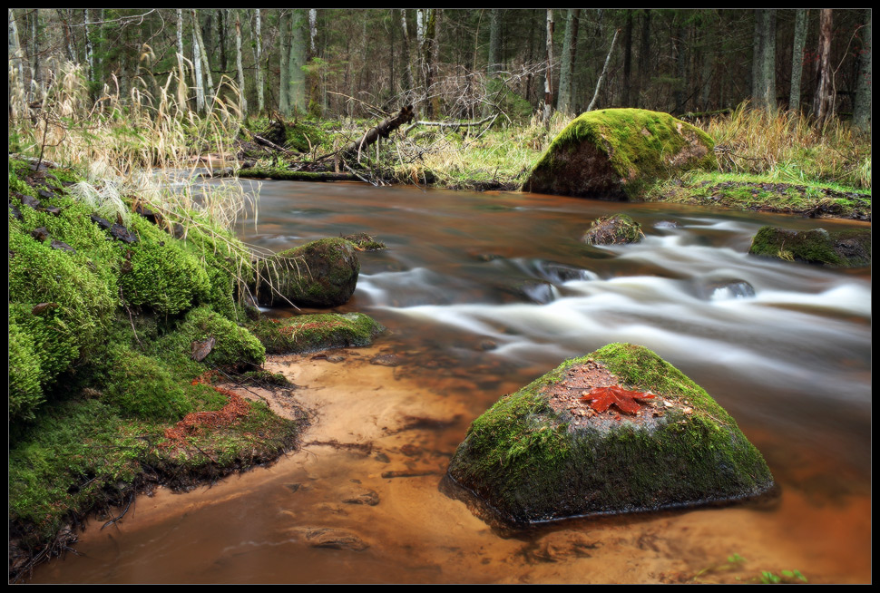 photo "***" tags: landscape, forest, water