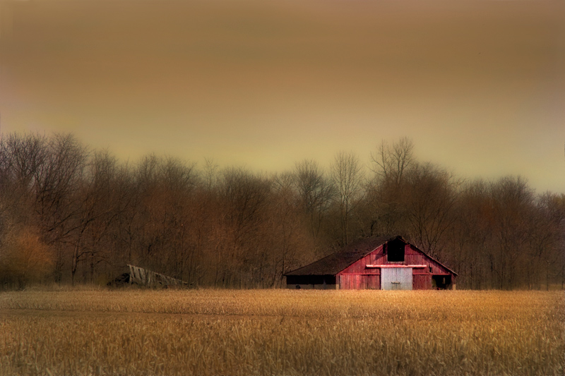 фото "Amber Waves of Grain" метки: пейзаж, лето