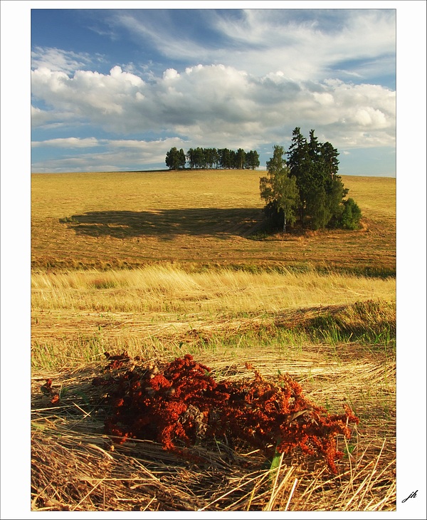 photo "Dry detention" tags: landscape, summer