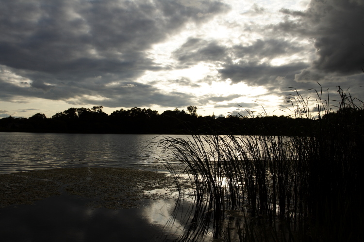 photo "Sunset Marsh" tags: landscape, sunset, water