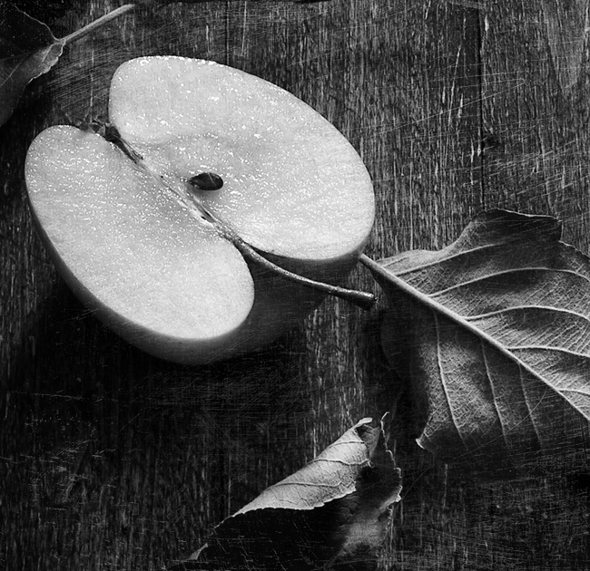 photo "***" tags: still life, black&white, 