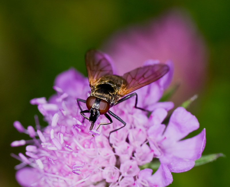 photo "m_5288_r" tags: , 