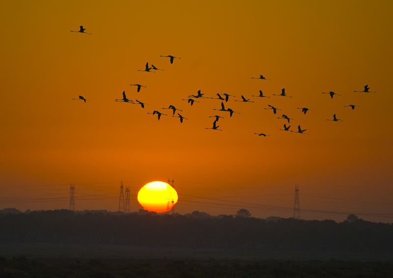 фото "SUNRISE" метки: пейзаж, закат, лето