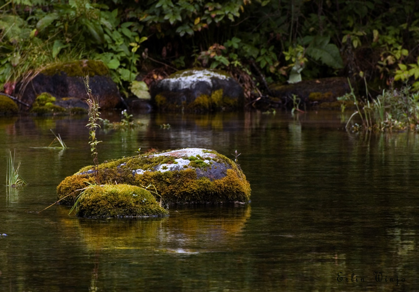 photo "***" tags: travel, landscape, water