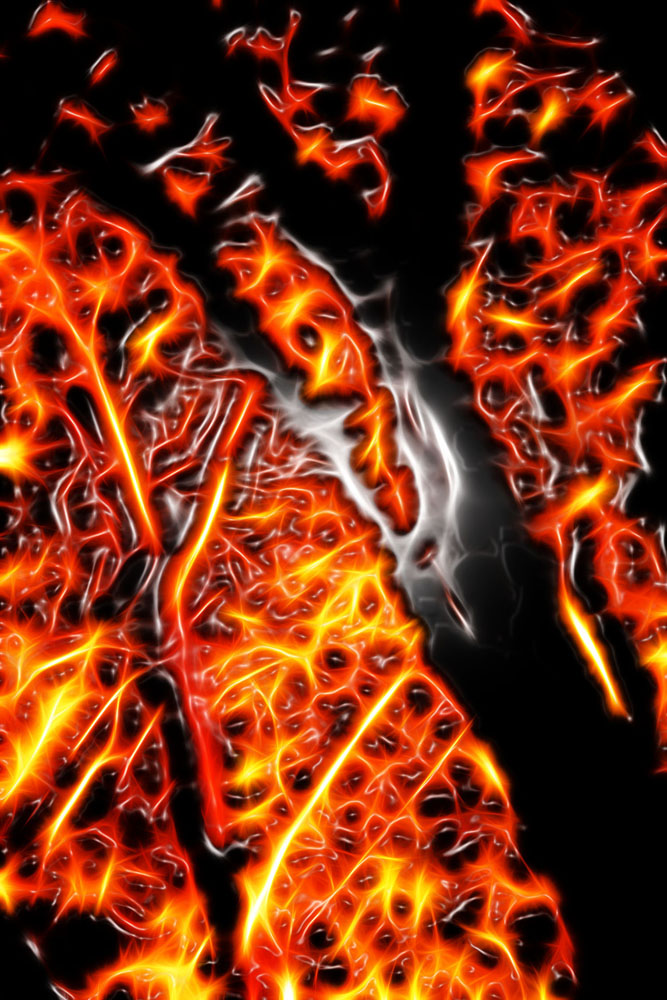 photo "Magma" tags: montage, abstract, 