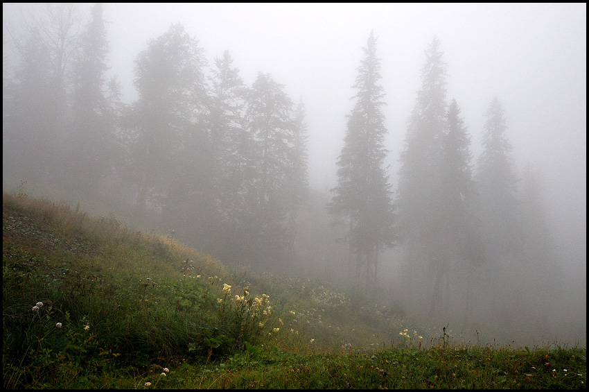 photo "Fog" tags: landscape, mountains