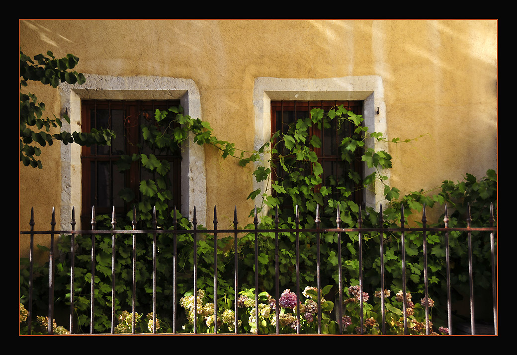 photo "Old Windows" tags: architecture, reporting, landscape, 