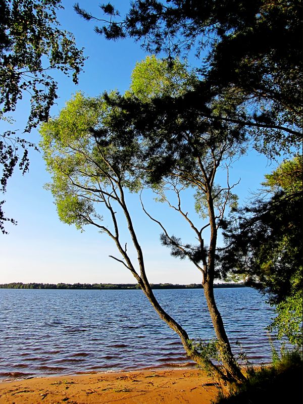 photo "Volga river" tags: landscape, summer