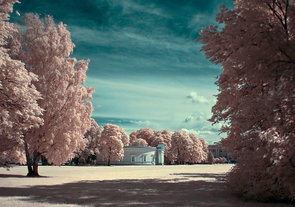 photo "***" tags: , 