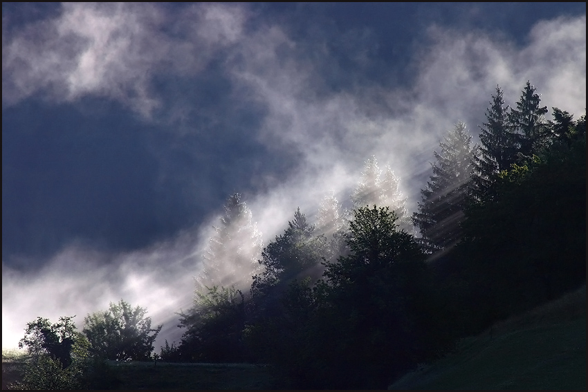 photo "First light and fog" tags: landscape, nature, summer