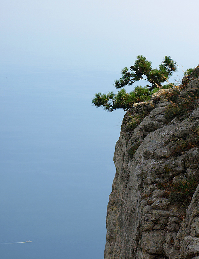 photo "Proud loneliness" tags: landscape, mountains, summer
