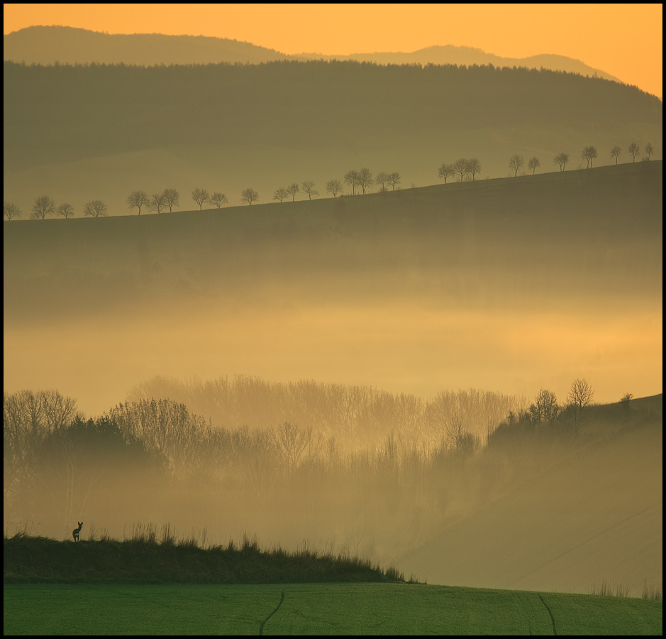 photo "Morning.." tags: landscape, 