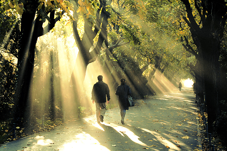 photo "It's autumn again" tags: landscape, city, autumn