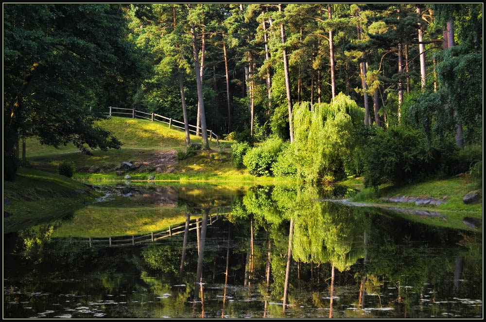 photo "The sun in the green world" tags: landscape, summer