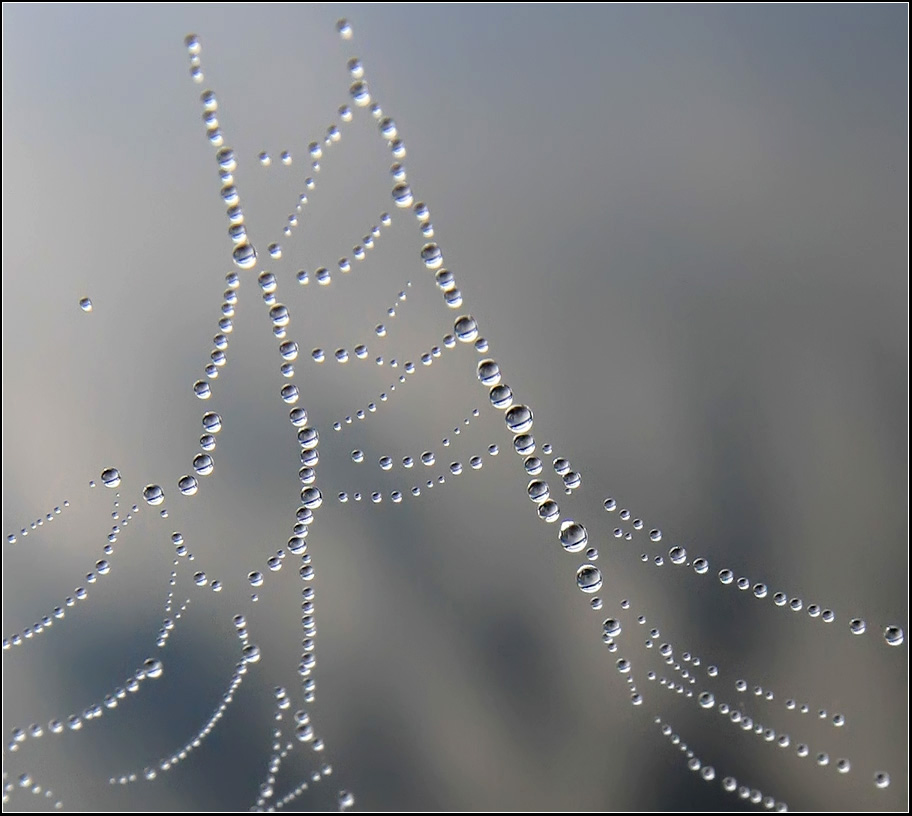 photo "Autumn weightlessness" tags: macro and close-up, landscape, autumn