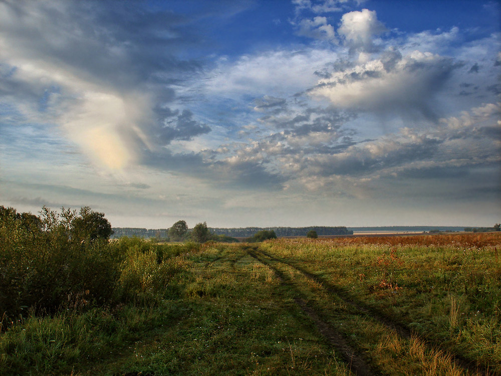 photo "The beginning of autumn ..." tags: landscape, summer