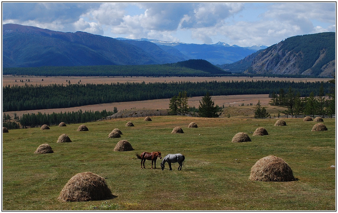 photo "***" tags: landscape, summer