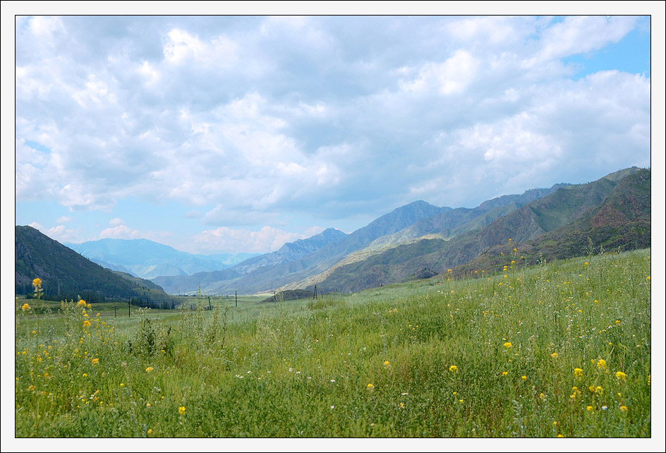 photo "Altay's fields" tags: landscape, mountains, summer