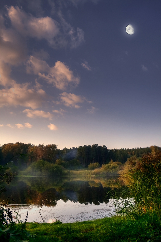 photo "***" tags: landscape, forest, water