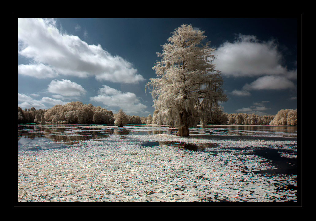 фото "****" метки: пейзаж, 