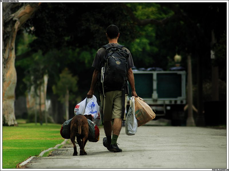 photo "wOrk partner" tags: travel, 