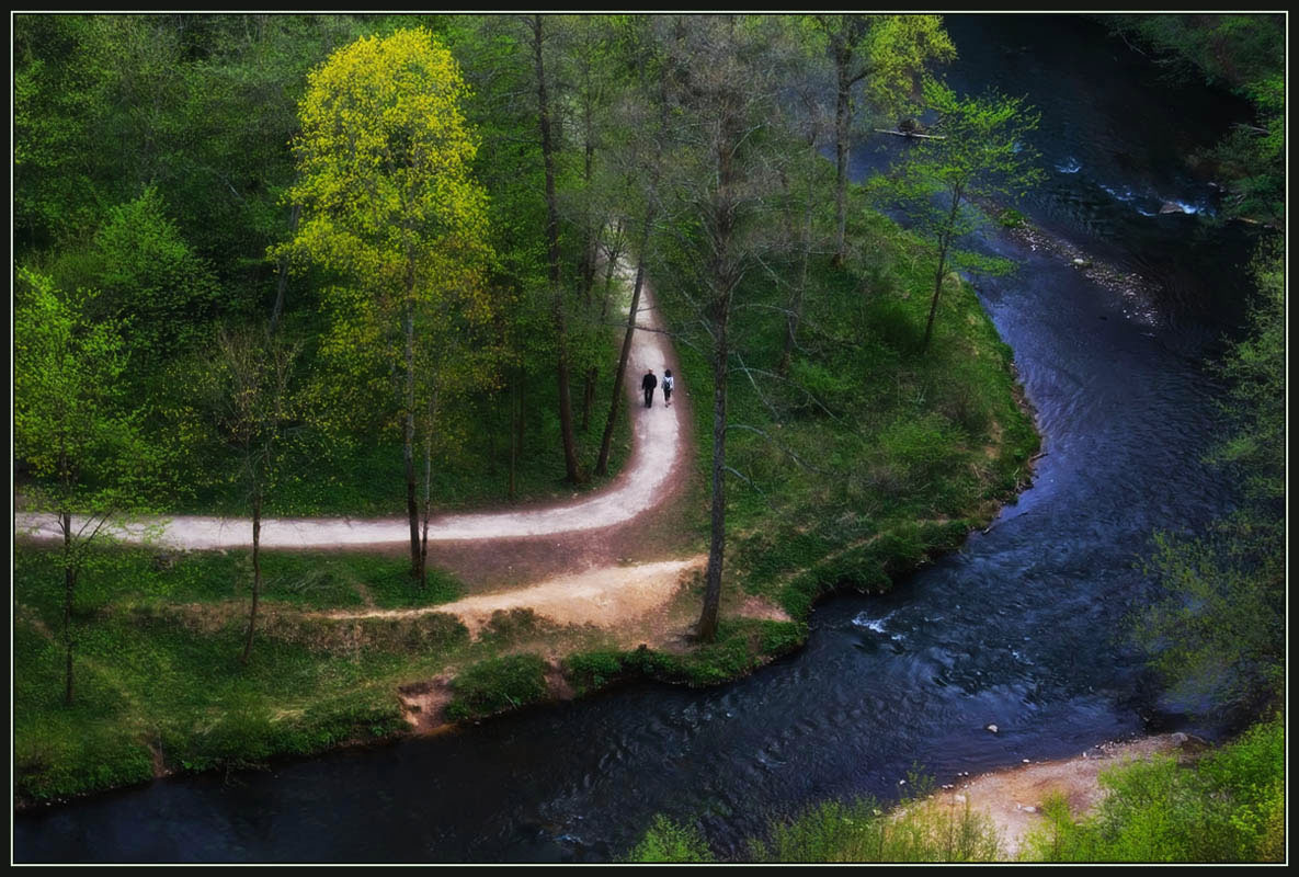 photo "Twist" tags: landscape, spring