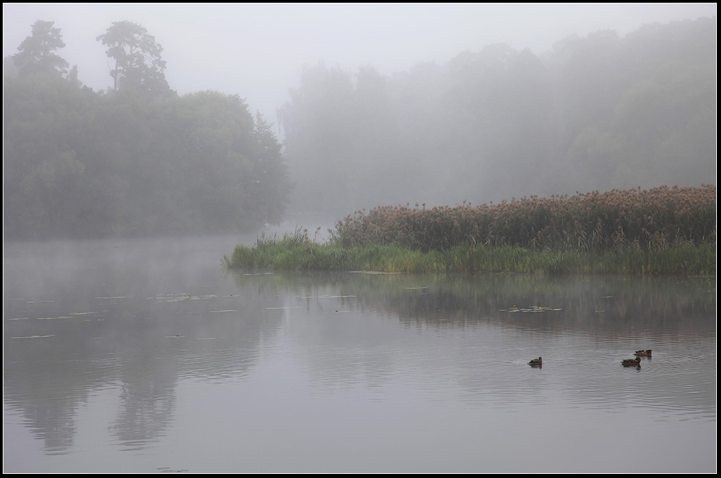 photo "Fog" tags: landscape, autumn, water