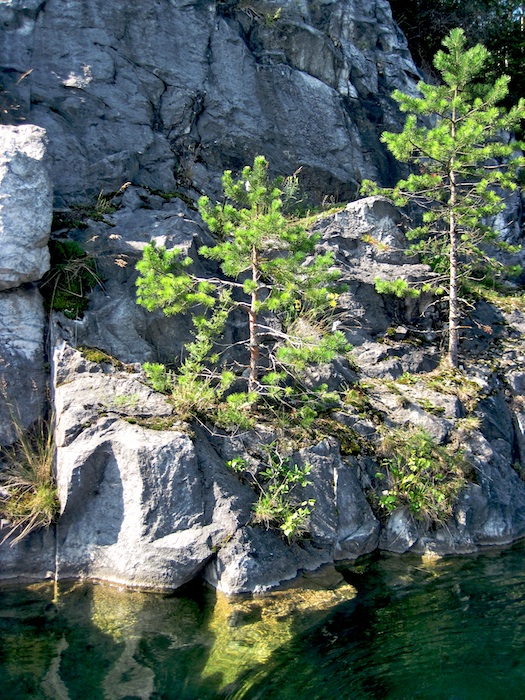 фото "мраморный каньон" метки: пейзаж, вода, лес